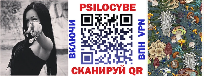 где купить наркоту  Пустошка  Галлюциногенные грибы GOLDEN TEACHER 